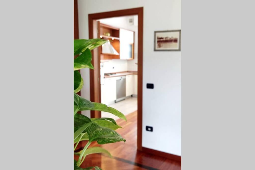 Diamante: Appartamento Nel Cuore Della Toscana Castelfranco di Sotto Εξωτερικό φωτογραφία